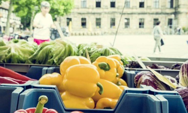 10 Companies Feeding The Urban Farming Boom