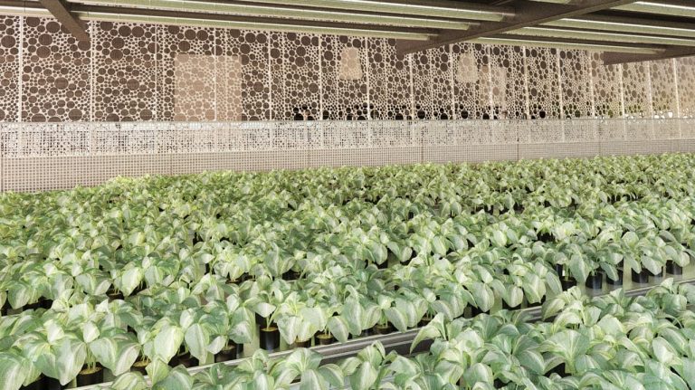 This Swedish Underground Farm Will Heat The Building Above It