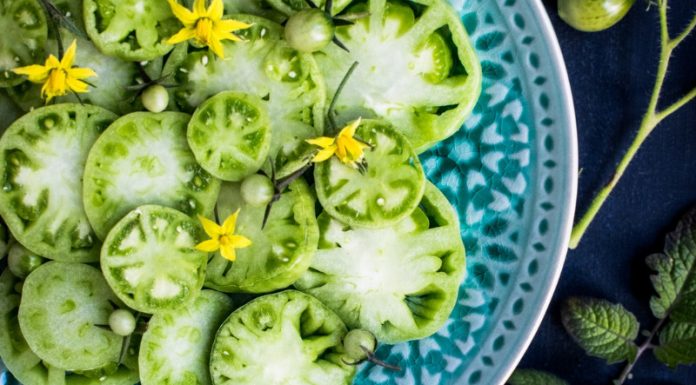 Dogpatch Urban Gardens Is Changing The Des Moines Foodscape