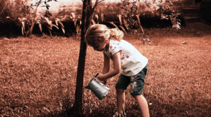 8 Reasons To Grow Your Own Fruits and Vegetables