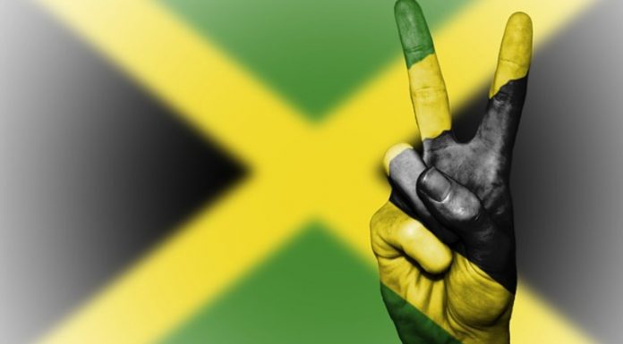 Engaging Young People In Agriculture Can Curb Crime