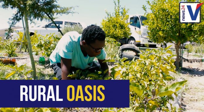 Sowing Seeds For Social Good