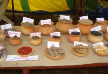 A Retired Teacher Seeds Organic Farming in India