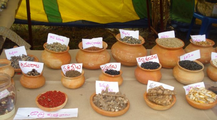 A Retired Teacher Seeds Organic Farming in India