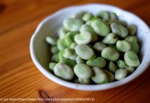 Black Farmers Reviving Their African Roots