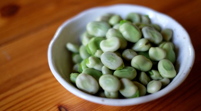 Black Farmers Reviving Their African Roots