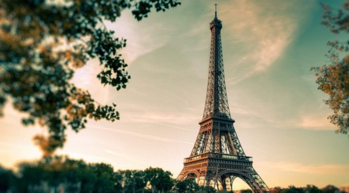 Urban Farms Are Greening Paris