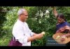 Aranya – Turning Barren Land Into A Food Forest With Permaculture