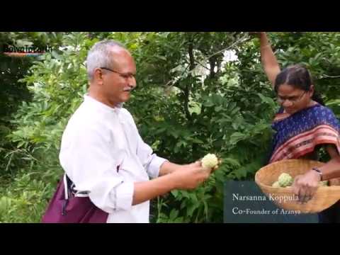 Aranya – Turning Barren Land Into A Food Forest With Permaculture