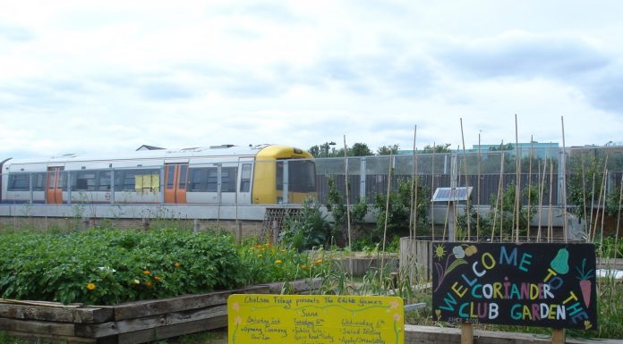 British Bangladeshi Women Want To Start Their Own Food-Growing Project