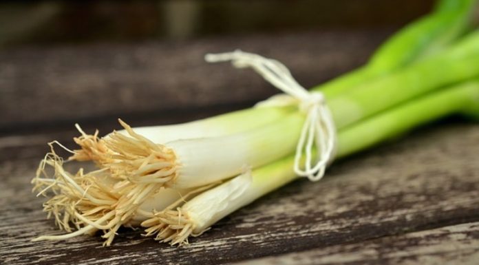 5 Vegetables You Can Easily Grow At Home