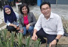 Malaysia: Deputy Agriculture Minister on Urban Farms