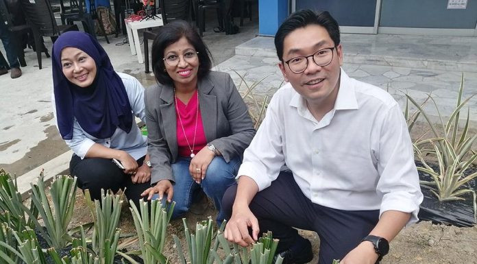 Malaysia: Deputy Agriculture Minister on Urban Farms