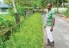 One Individual’s Roadside Beautification Project Turned Into a Farm (Kerala, India)