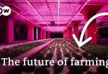 Water + Fish = Vegetables