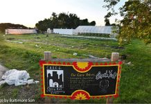 Food, a Vehicle of Liberation