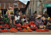 Lagos – Towards a Progressive Sustainable Economy Lagos City fruits