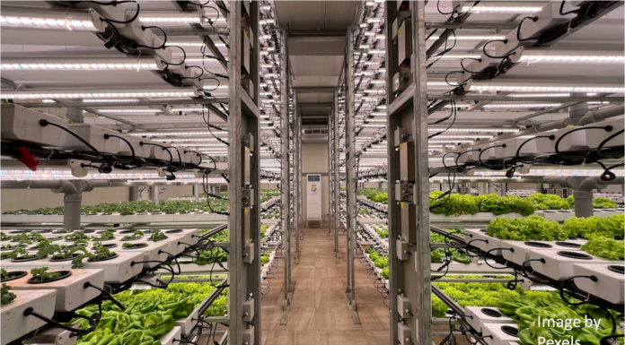 Is Expecting Food Security and RoI from Vertical Farming a Tall Order?